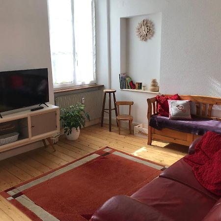 Le Clos des Iris - Gîte rural 95 m2 tout confort en Alsace Bossue Domfessel Extérieur photo